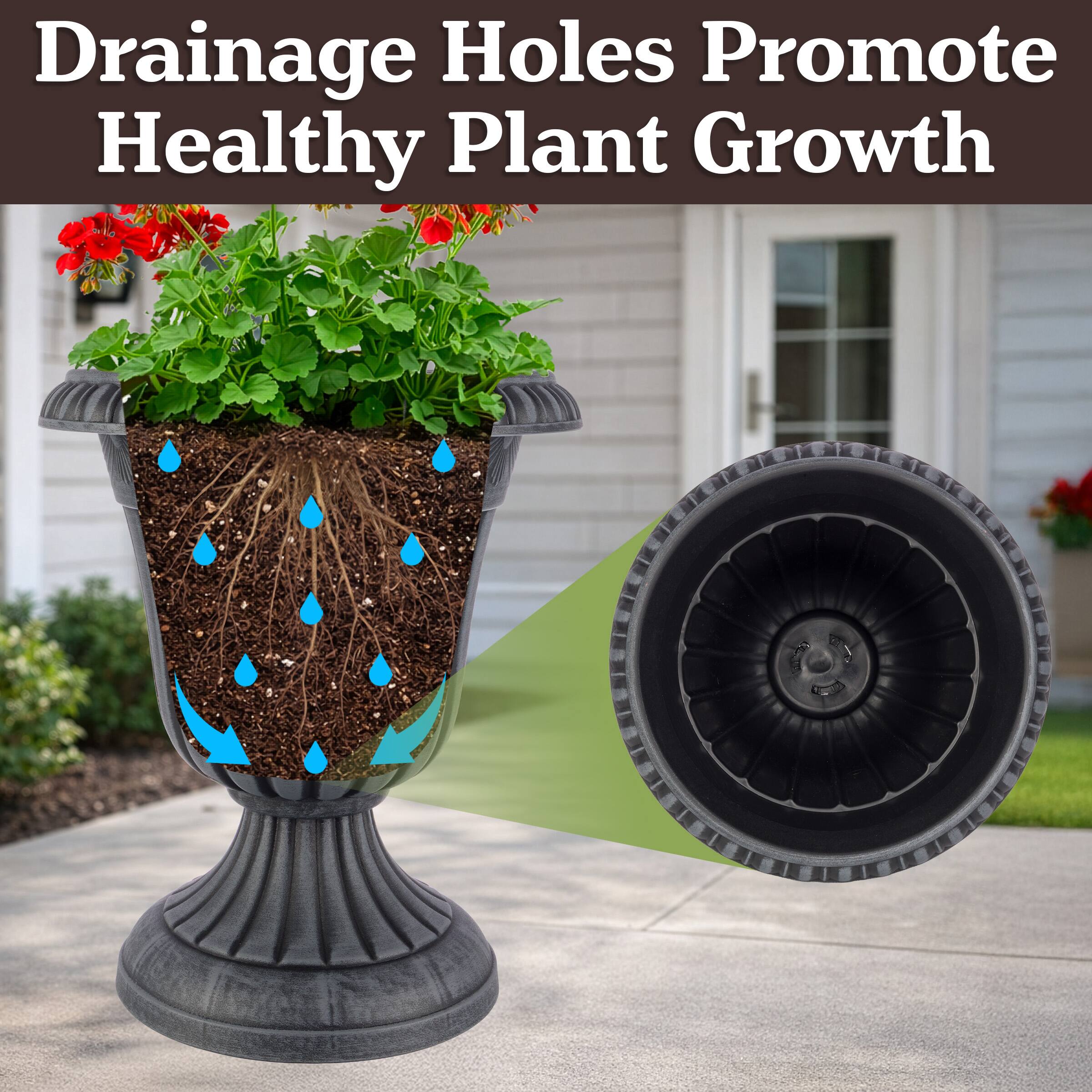 Drainage Holes Promote Healthy Plant Growth