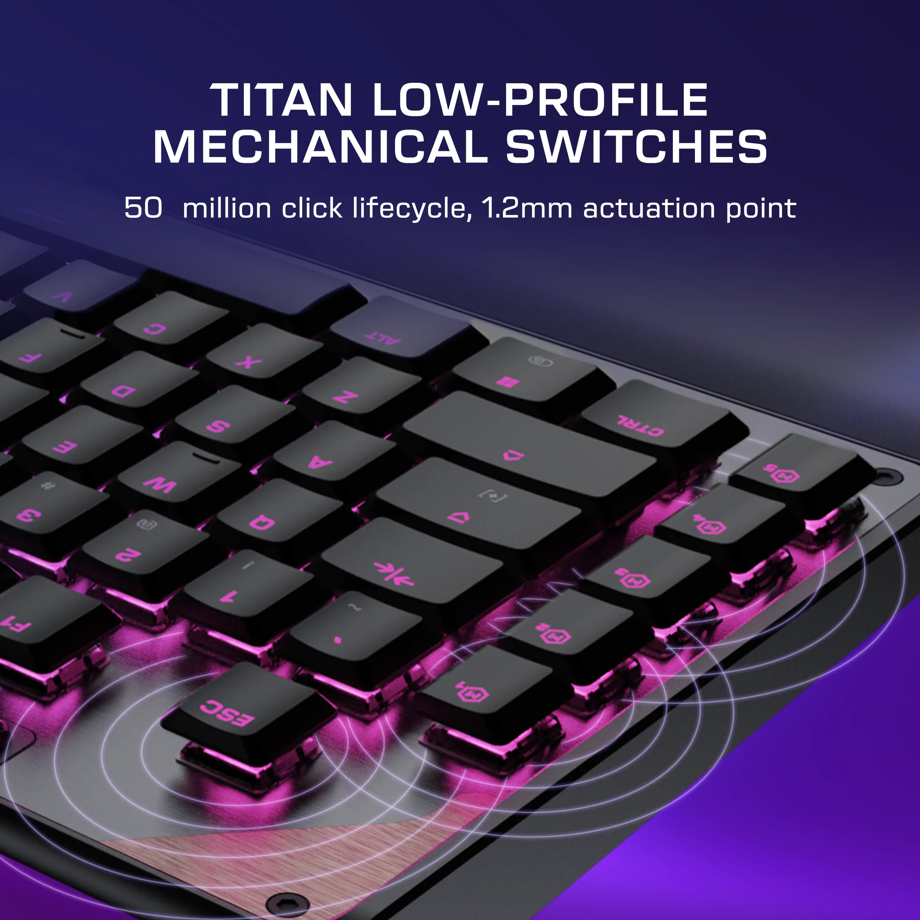 TITAN LOW-PROFILE MECHANICAL SWITCHES  
50 million click lifecycle, 1.2mm actuation point