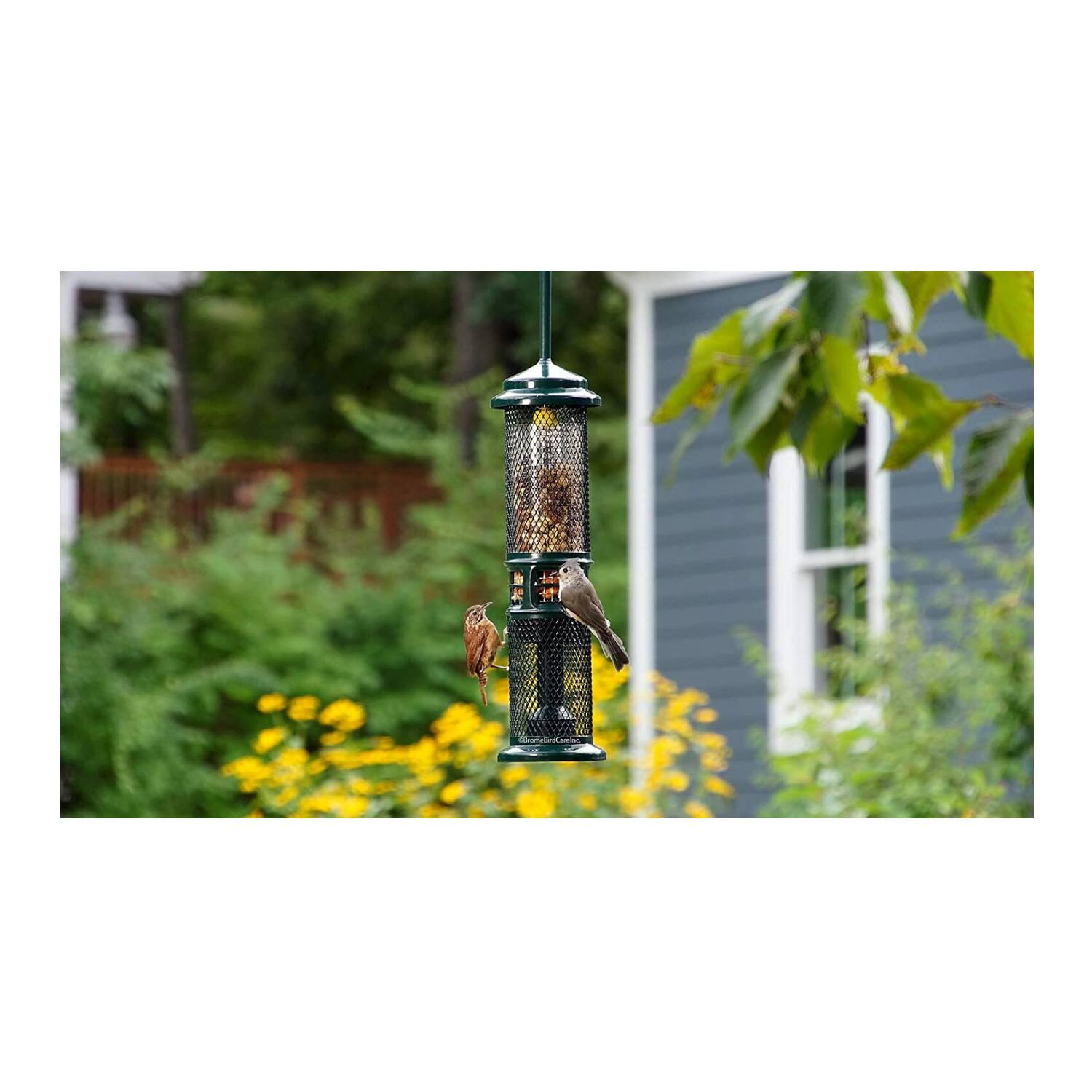 Back. Brome - Brome Squirrel Buster Nut Feeder Squirrel-Proof Bird Feeder (Two Meshes) - Grenn.