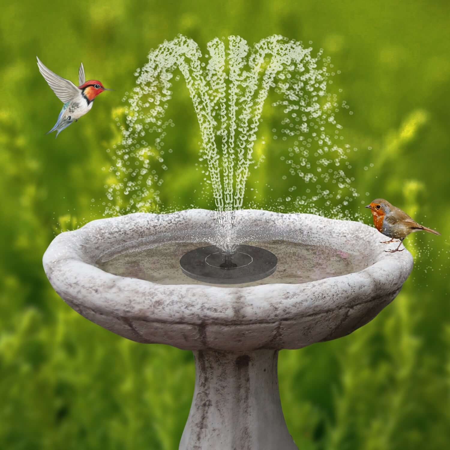 Back. Dartwood - Solar Bird Bath and Water Fountain with 4 Different Nozzle Heads - Black.