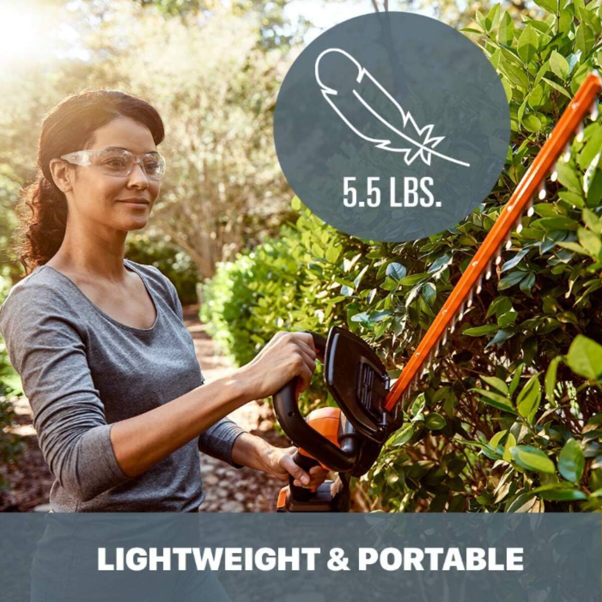 The text on the image reads "5.5 LBS. LIGHTWEIGHT & PORTABLE."