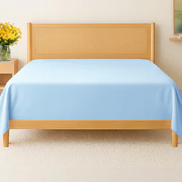 CGK Linens - Premium Flat Sheet Ultra Soft & Breathable - Cozy & Wrinkle Resistant Top Sheet - Twin - Light Blue