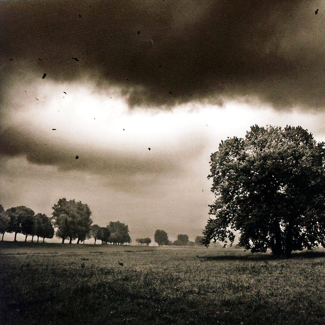 Front. It's All Gone South [CD].