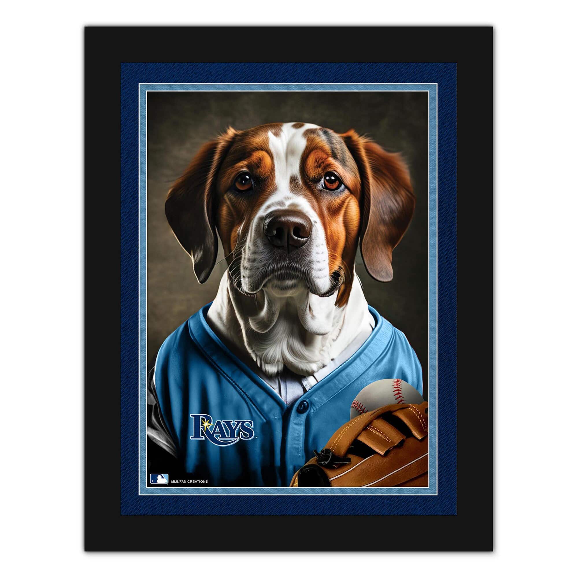 Fan Creations - Tampa Bay Rays 12'' x 16'' Framed Dog In Jersey Print - Multicolor price history on PriceWatchPro