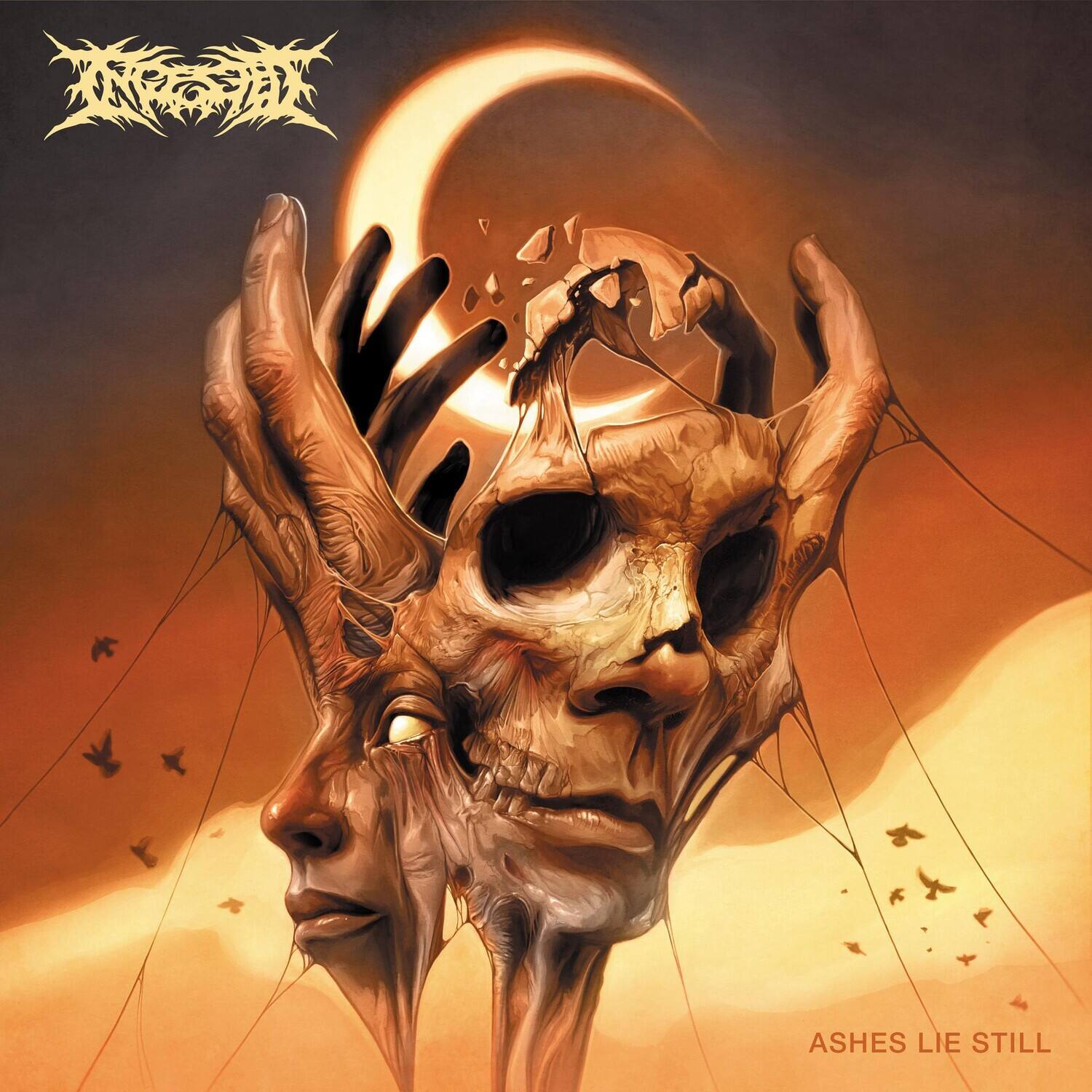 Ingested - ASHES LIE STILL   - COMPACT DISCS [CD]