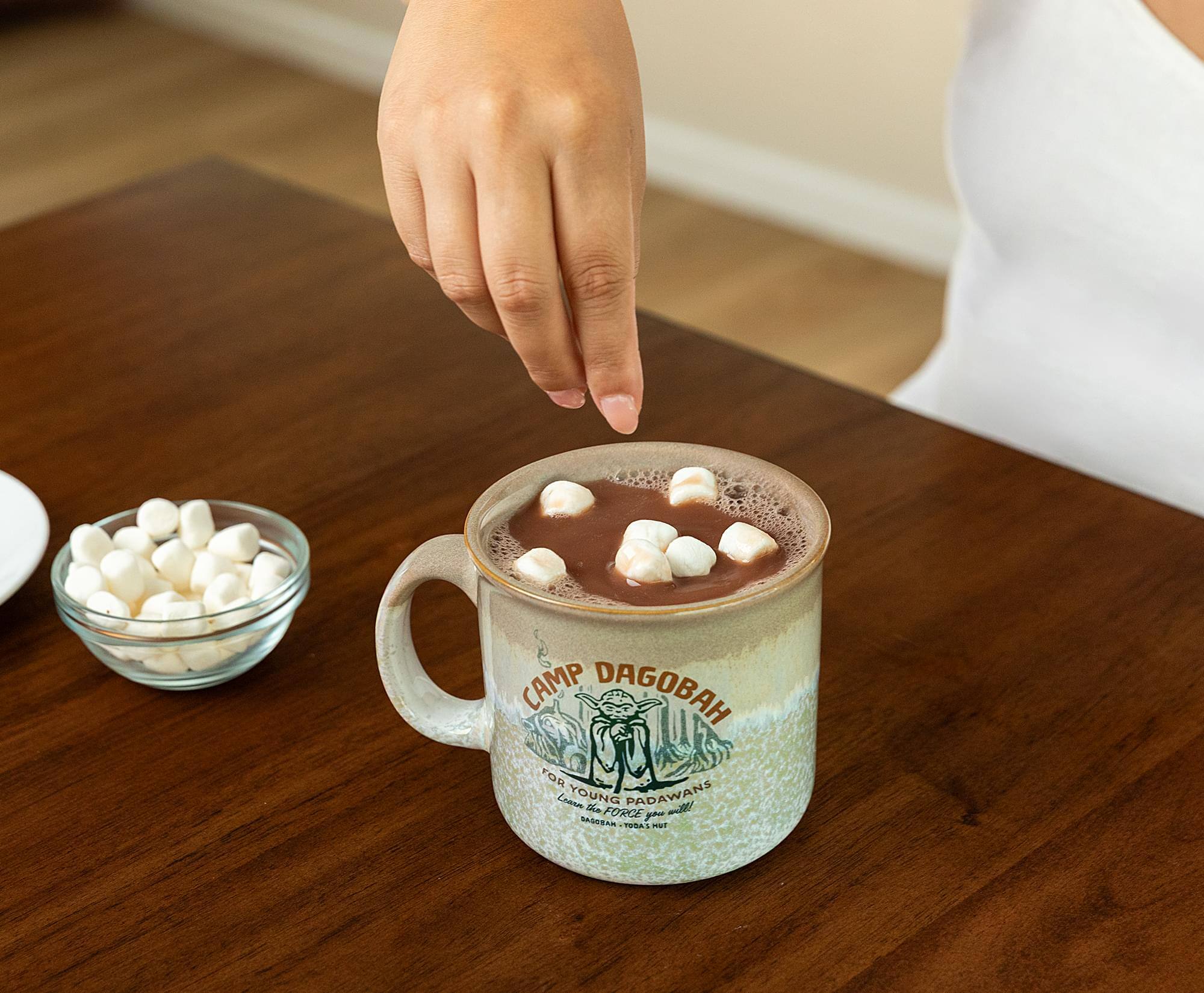 CAMP DAGOBARH FOR YOUNG PADAWANS  
FOR THE FORCE YOU WILL  
FOR YOUR  
FOR YOUR  
FOR YOUR