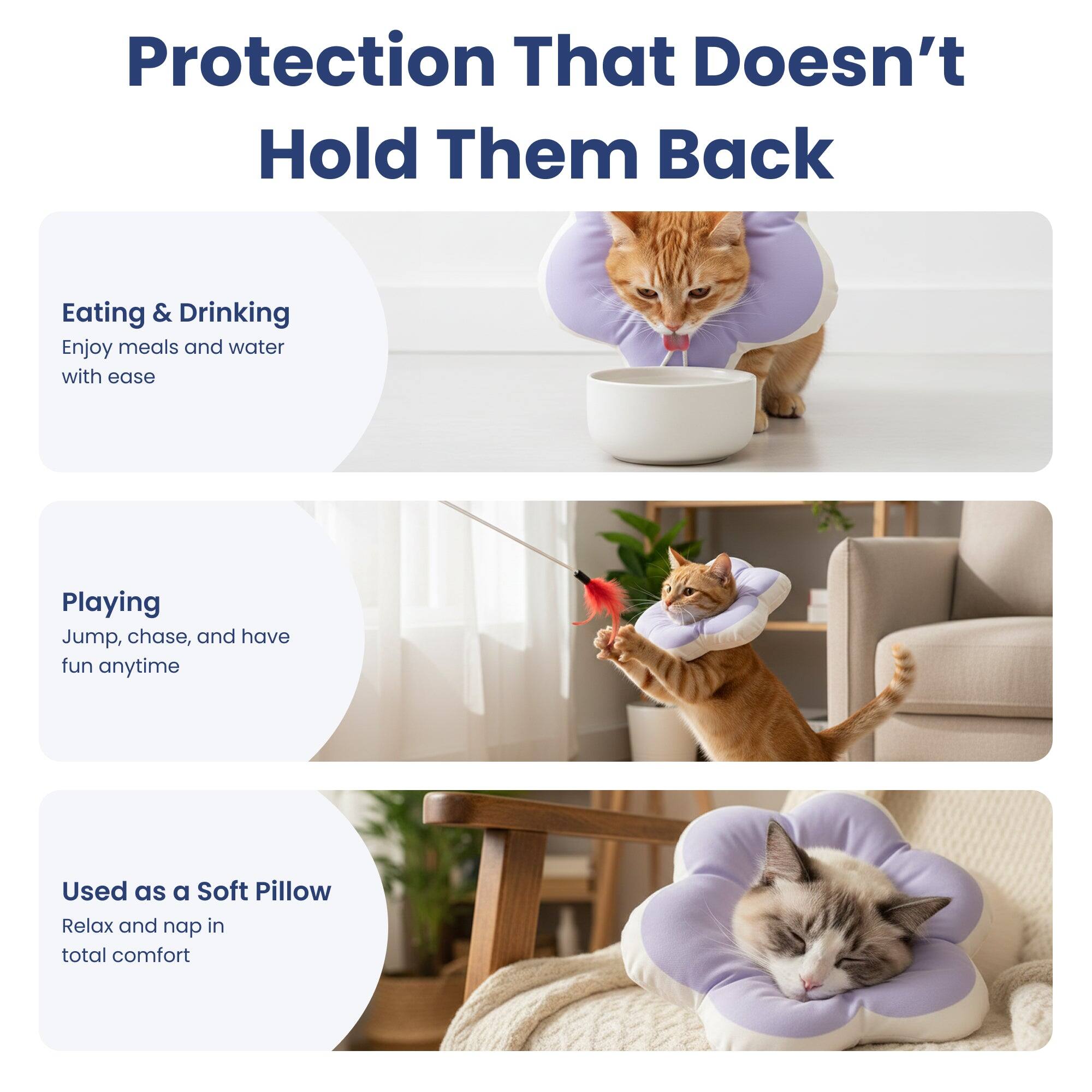 Protection That Doesn't Hold Them Back

Eating & Drinking
Enjoy meals and water with ease

Playing
Jump, chase, and have fun anytime

Used as a Soft Pillow
Relax and nap in total comfort
