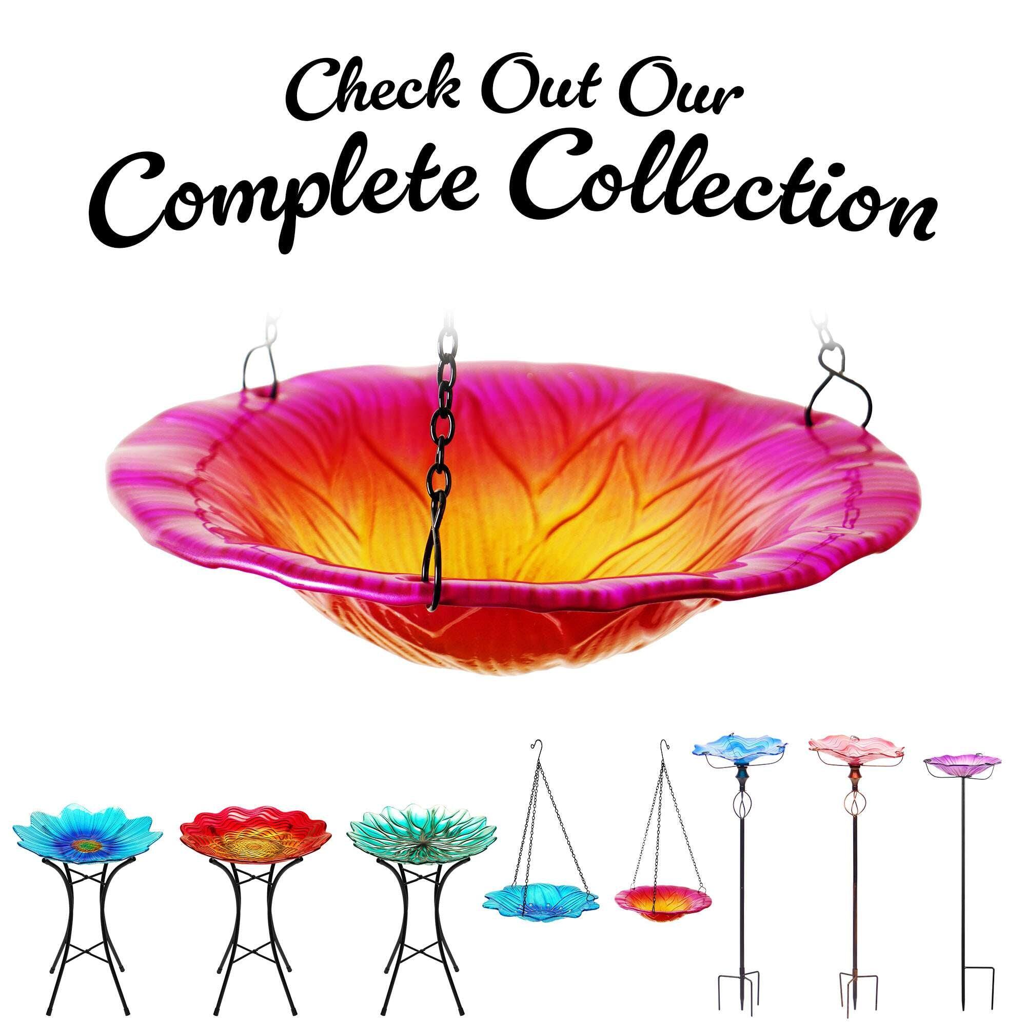 Check Out Our Complete Collection