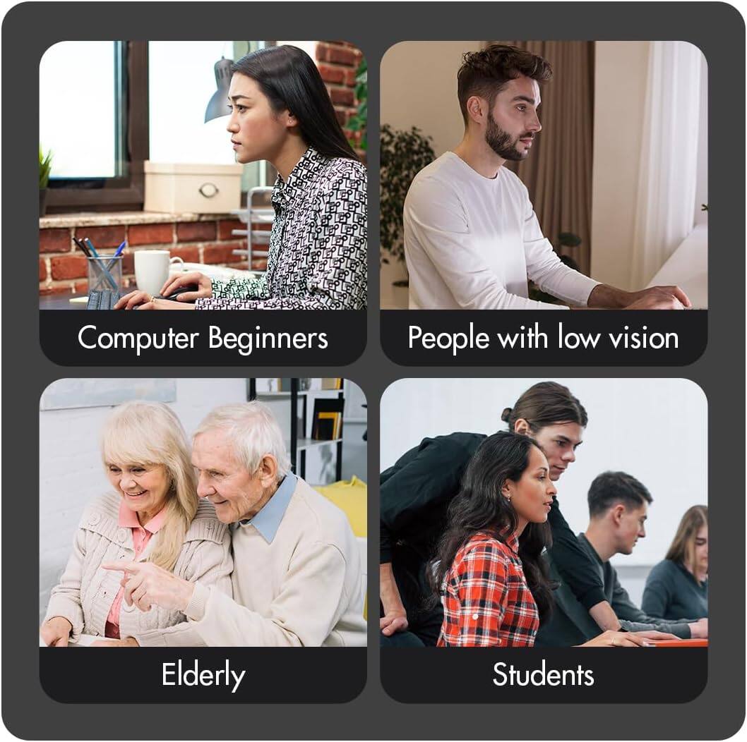 Computer Beginners, People with Low Vision, Elderly, Students