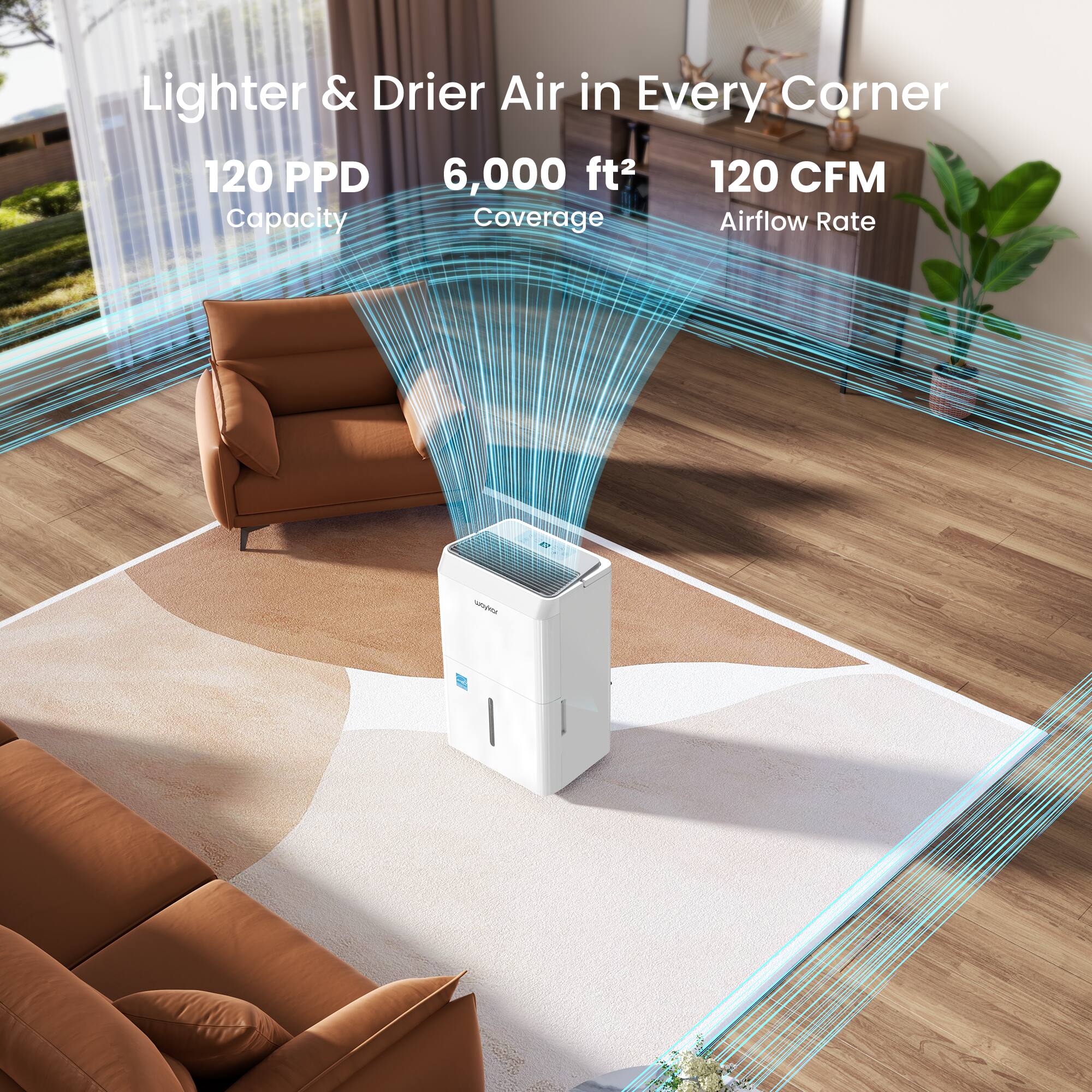 Lighter & Drier Air in Every Corner  
120 PPD Capacity  
6,000 ft² Coverage  
120 CFM Airflow Rate