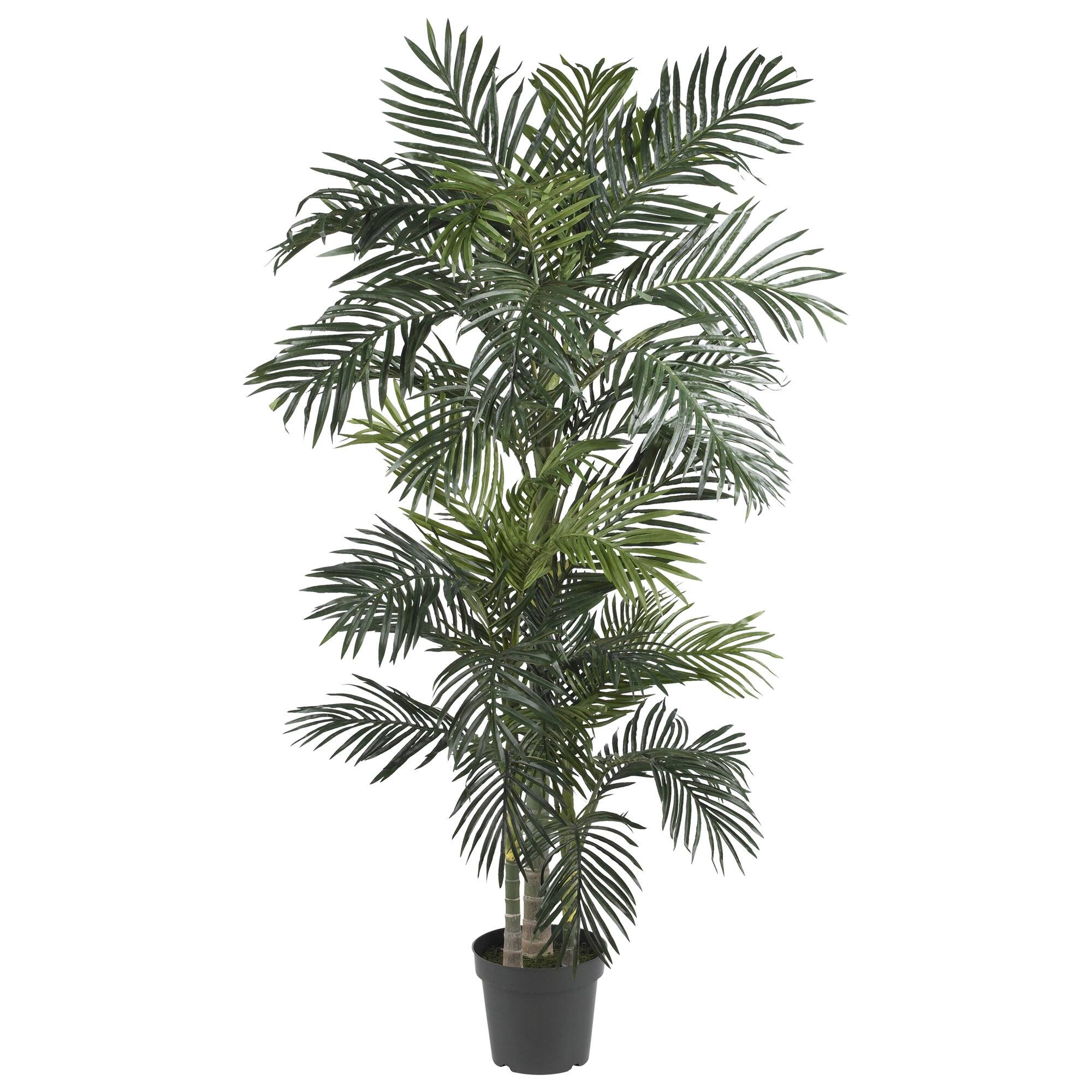 Front. BreeBe - 6.5' Golden Cane Palm Tree w/333 Lvs - Green.