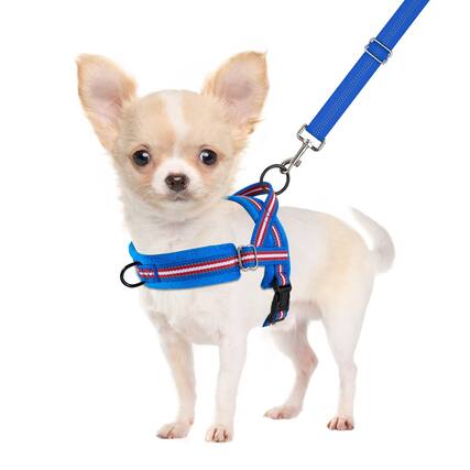 Front. Paradigms Interiors - No Pull Dog Harness And Leash Set Puppy Soft Vest Neck & Chest Reflective Anti-twist Pet Lead Combo For Dogs - B-Dark Blue - With Front Clip-XX-Small.