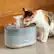 Angle. PETLIBRO - Capsule Stainless Steel 2.1L Cat and Dog Drinking Fountain with Two Flow Modes - White.