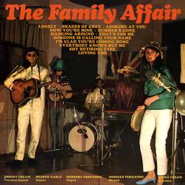 Family Affair - Family Affair - VINYL LP