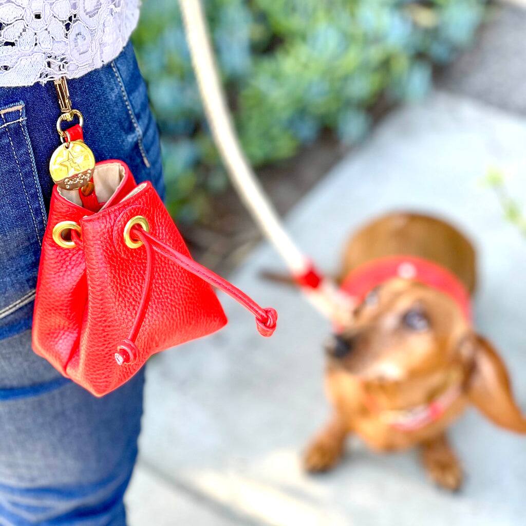 Angle. PoisePup - Genuine Leather Hands-Free Pet Walking and Training Treat Pouch for Dog - Red.
