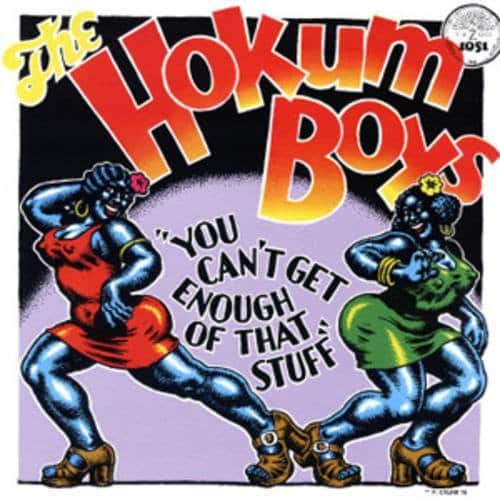 The Hokum Boys - You Can't Get Enough of That Stuff  - VINYL LP