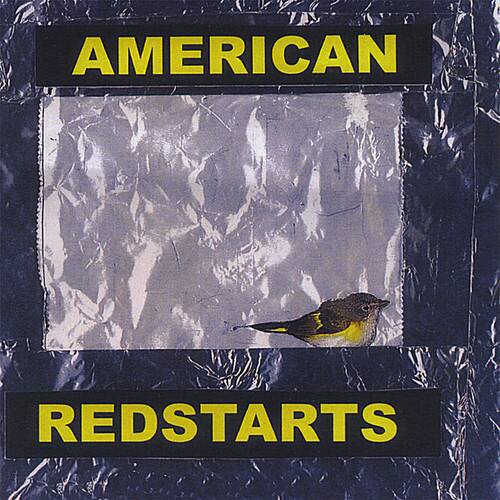 AMERICAN  
REDSTARTS