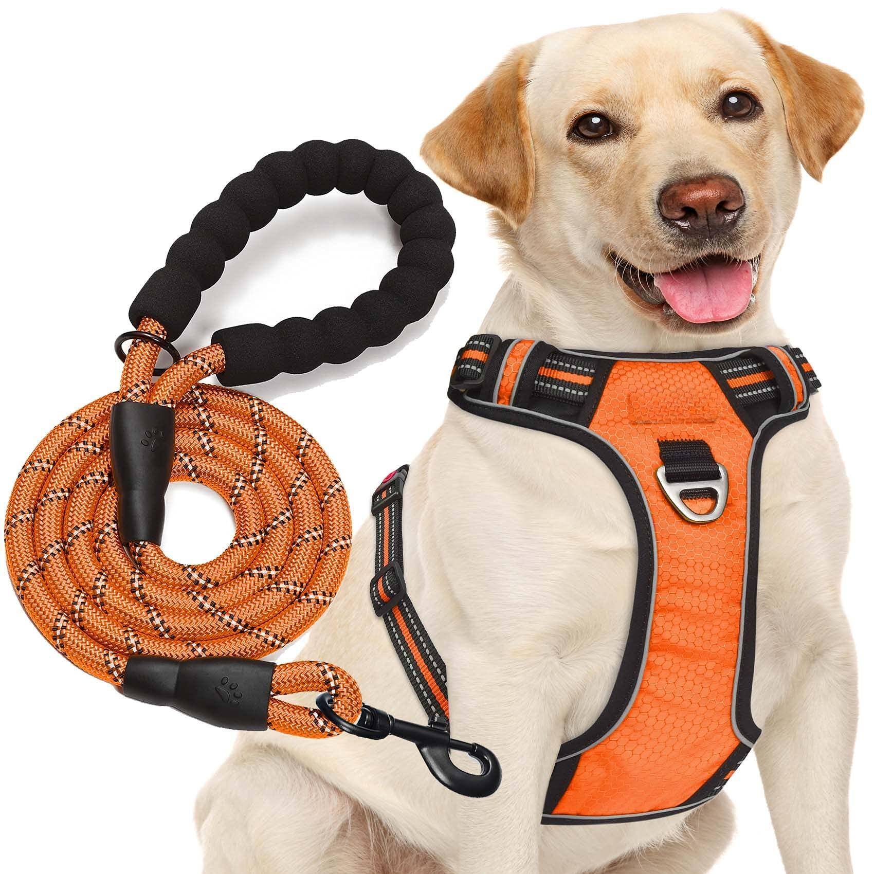 Orange Harness+Leash-Large