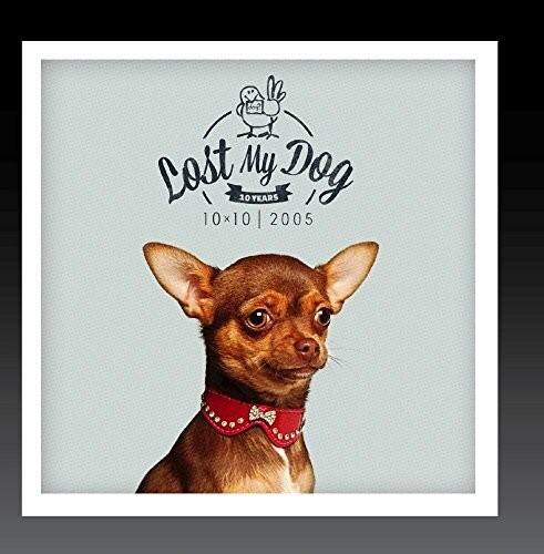 Lost My Dog  
10 YEARS  
10x10 x 2005
