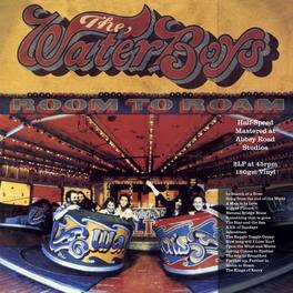 The Waterboys - Room To Roam (Half Speed Master) - VINYL LP