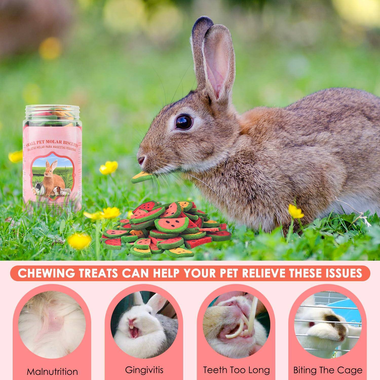 Live At Space Rabbit Toys 200g / 7oz Mixed Timothy Beet Pumpkin Carrot ...