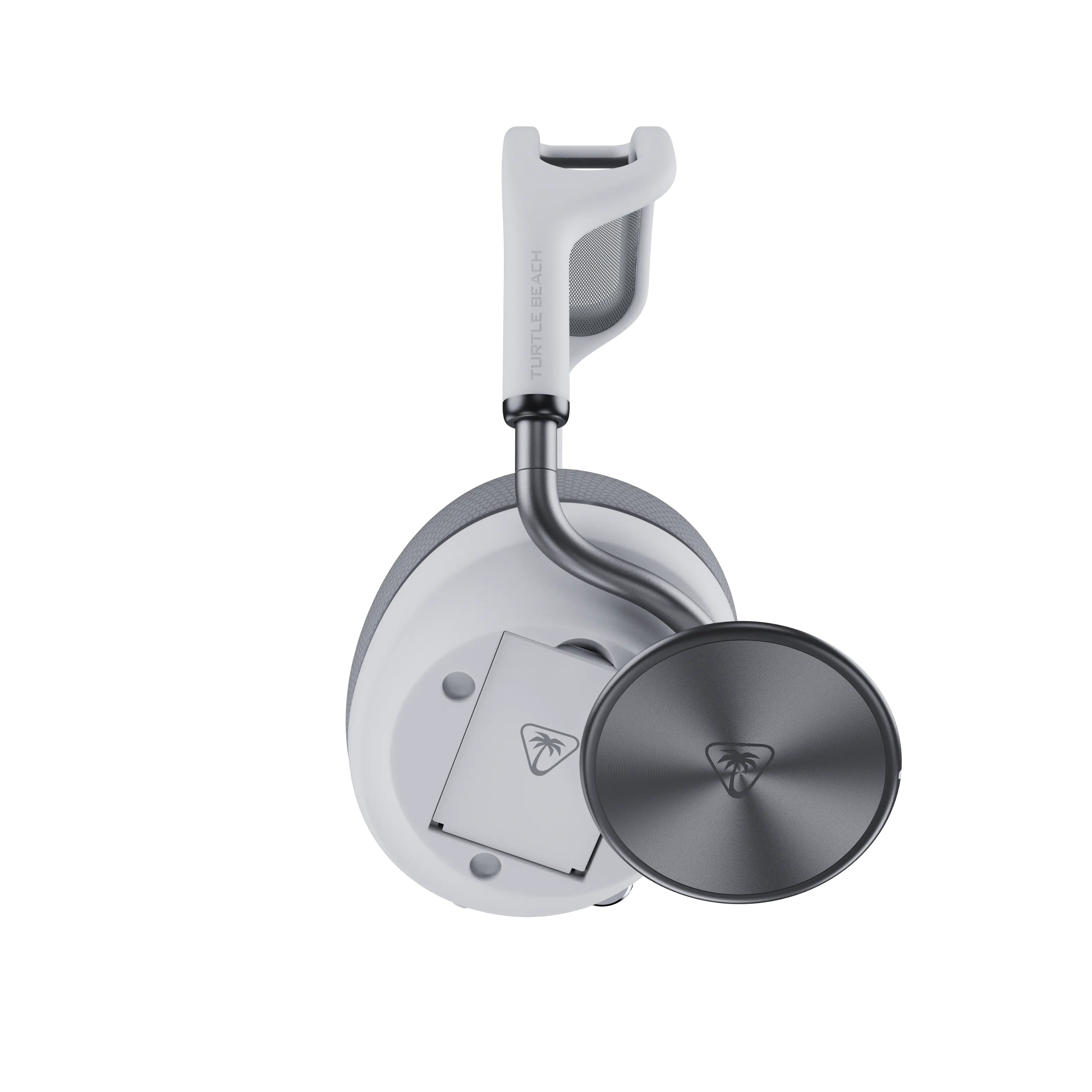 BEACH TURTLE

TURTLE BEACH