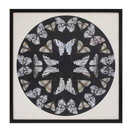 BreeBe - Framed Butterfly Print 25"SQ - Black, Beige