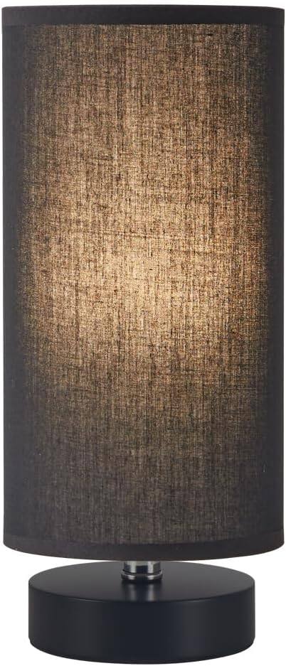 Black Shade and Silver Base