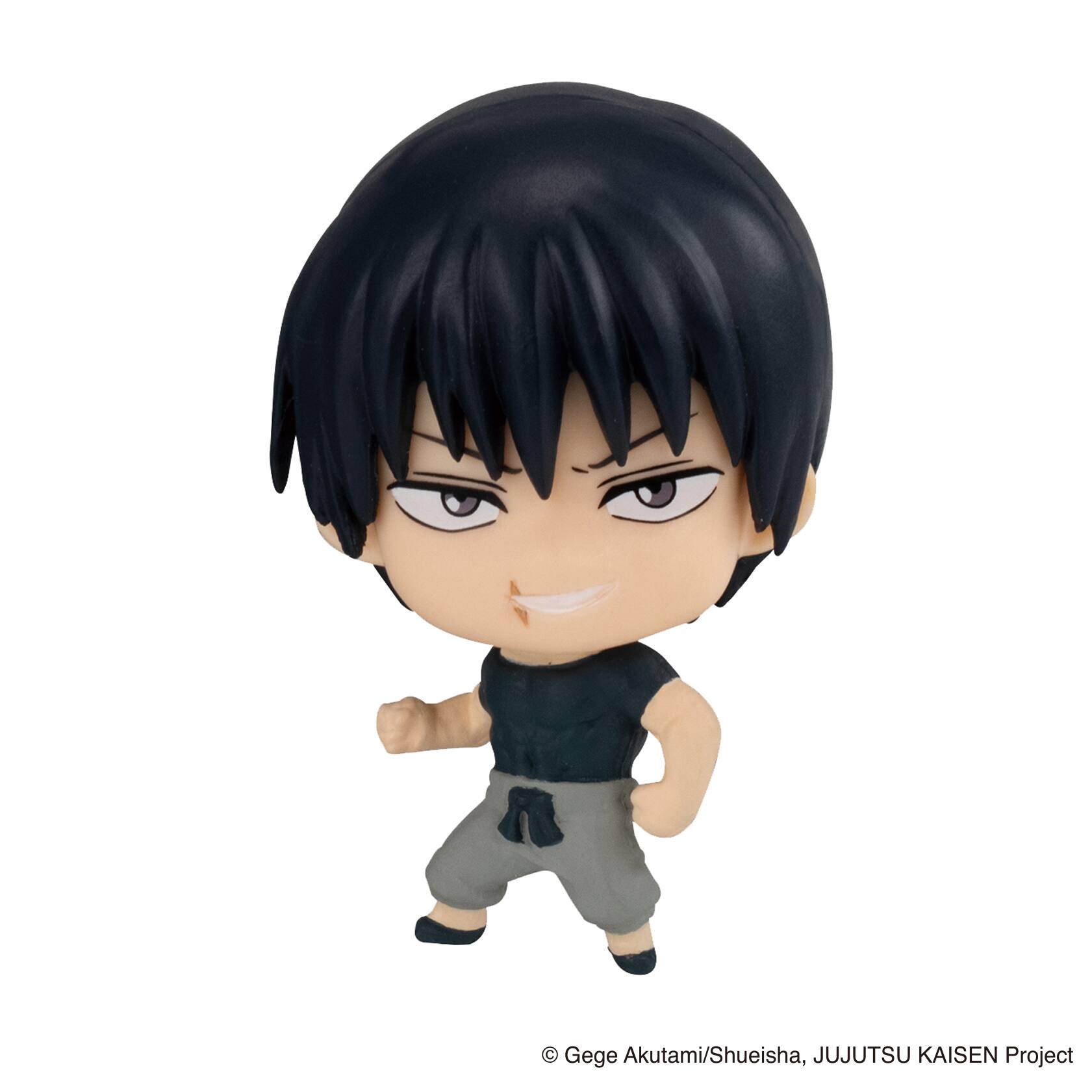 Gege Akutami/Shueisha, JUJUTSU KAISEN Project