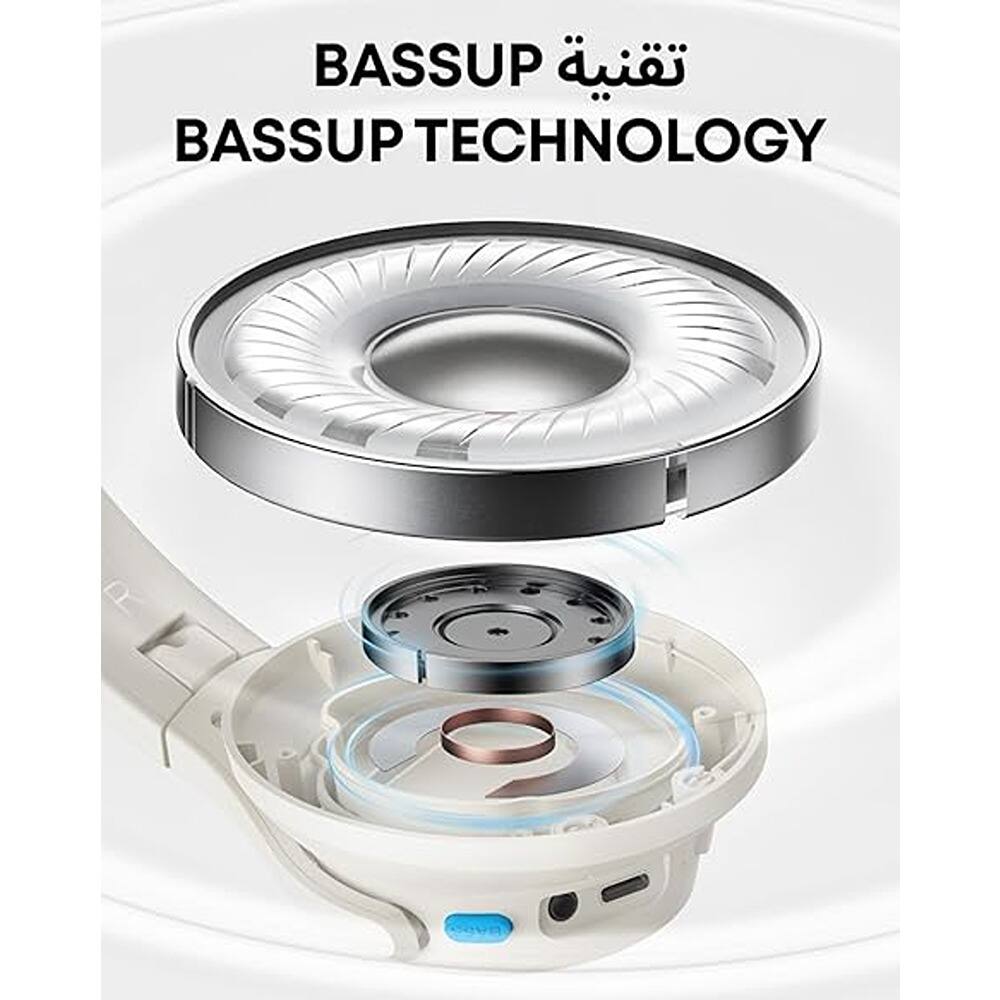 BASSUP  
BASSUP TECHNOLOGY