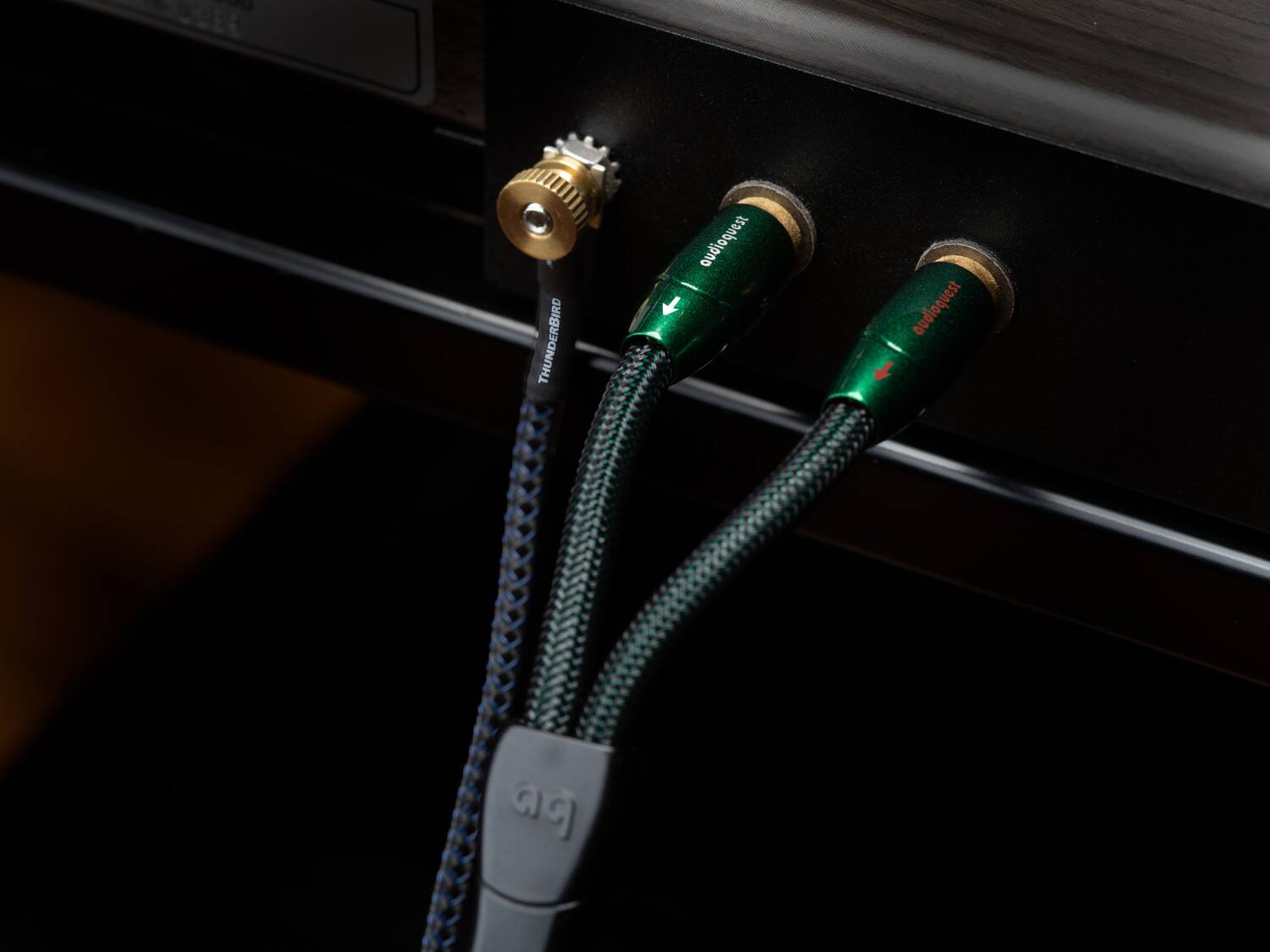 The text on the image reads "THUNDERBIRD asanbojono audioquest."