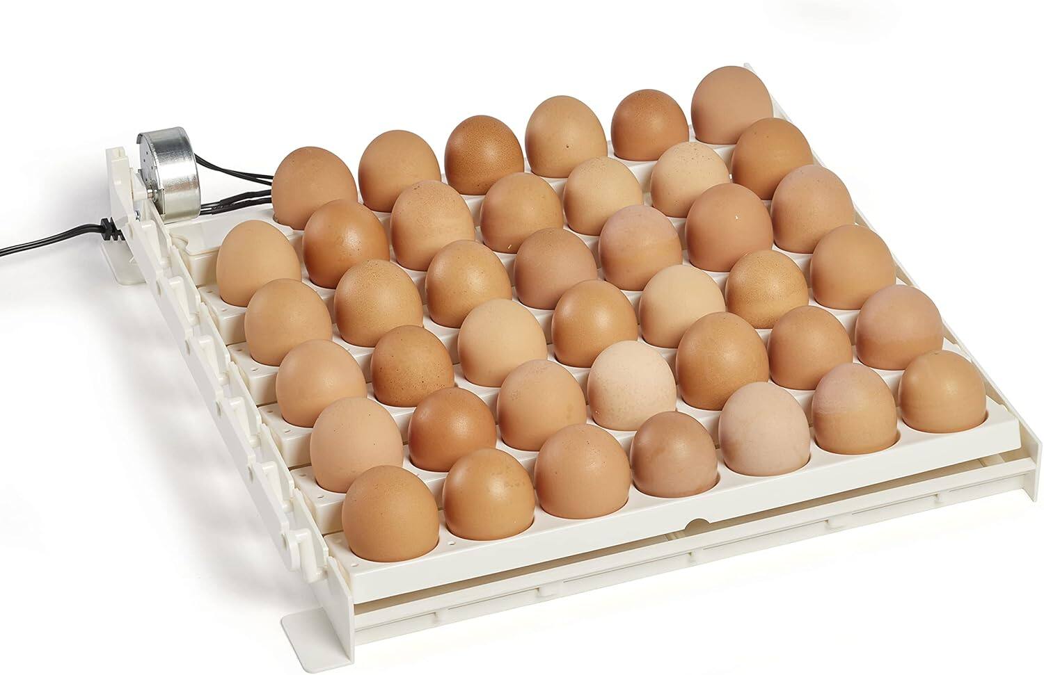 Alt View 6. Farm Innovators - Farm Innovators 3200 Automatic 41 Spot Egg Turner for Improved Hatching (4 Pack).