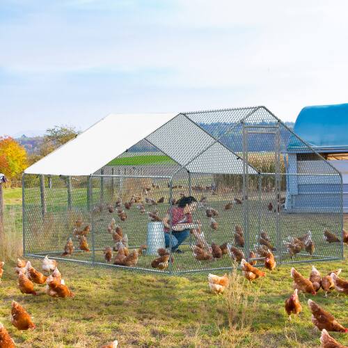 Front. Winado - 10 x 10FT Metal Walk In Chicken Coop Run Cage Rabbit Hutch Hen House Enclosure.