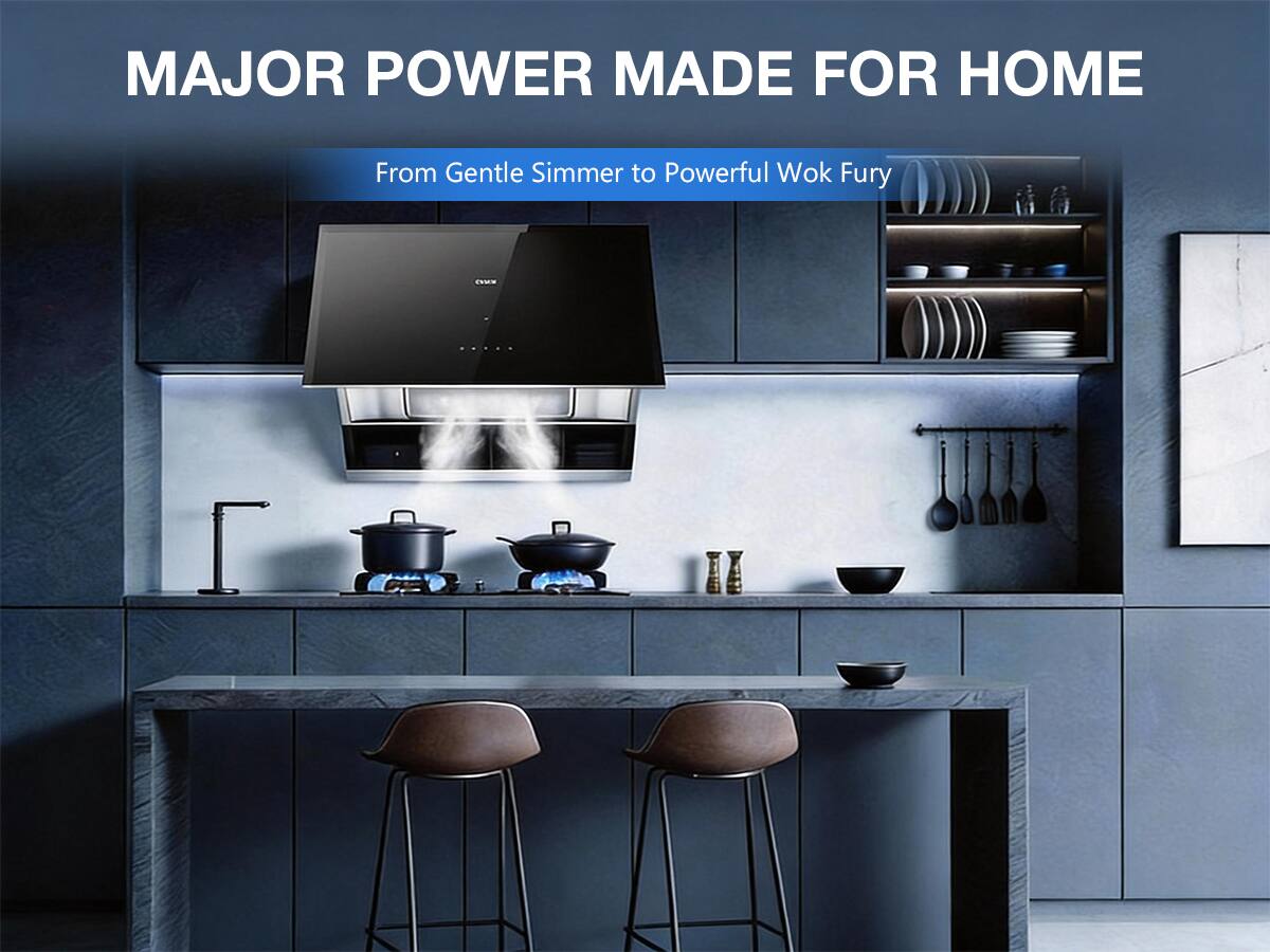 MAJOR POWER MADE FOR HOME  
From Gentle Simmer to Powerful Wok Fury