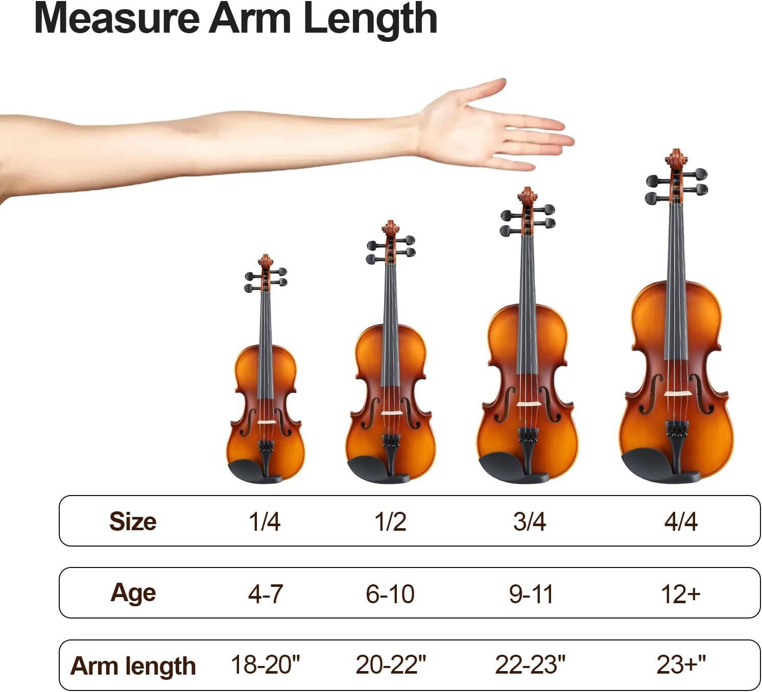 Winado GV104 All In One Violin/Fiddle Kit Comes with Hard Case, Bow ...
