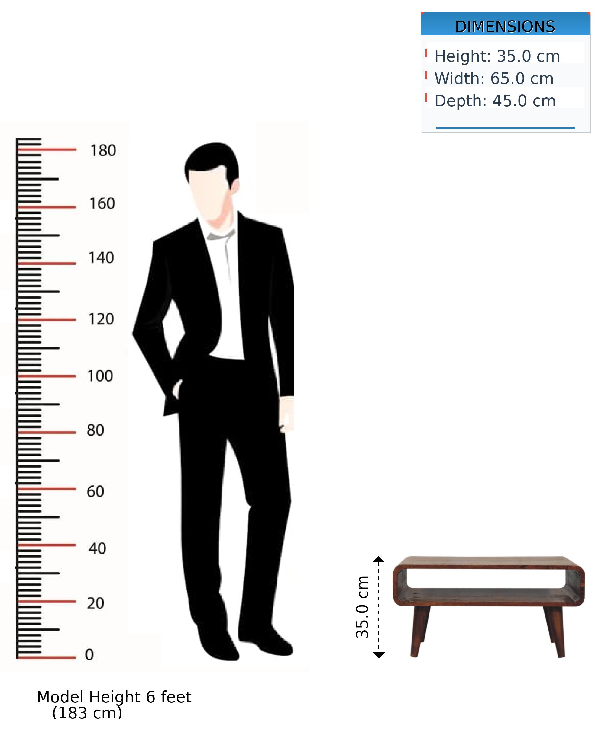 DIMENSIONS  
- Height: 35.0 cm  
- Width: 65.0 cm  
- Depth: 45.0 cm  

Model Height: 6 feet (183 cm)