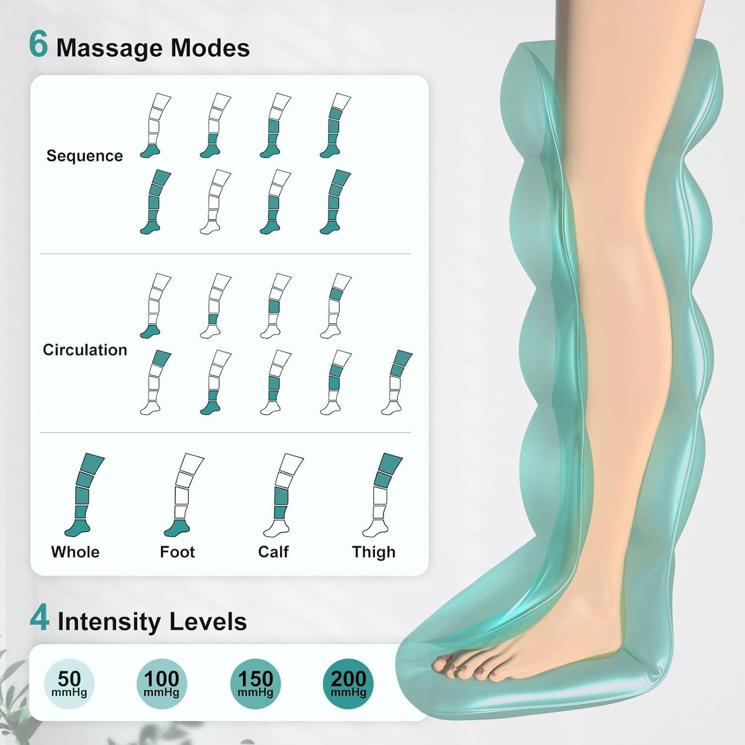 6 Massage Modes  
- Sequence  
- Circulation  
- Whole  
- Foot  
- Calf  
- Thigh  

4 Intensity Levels  
- 50 mmHg  
- 100 mmHg  
- 150 mmHg  
- 200 mmHg