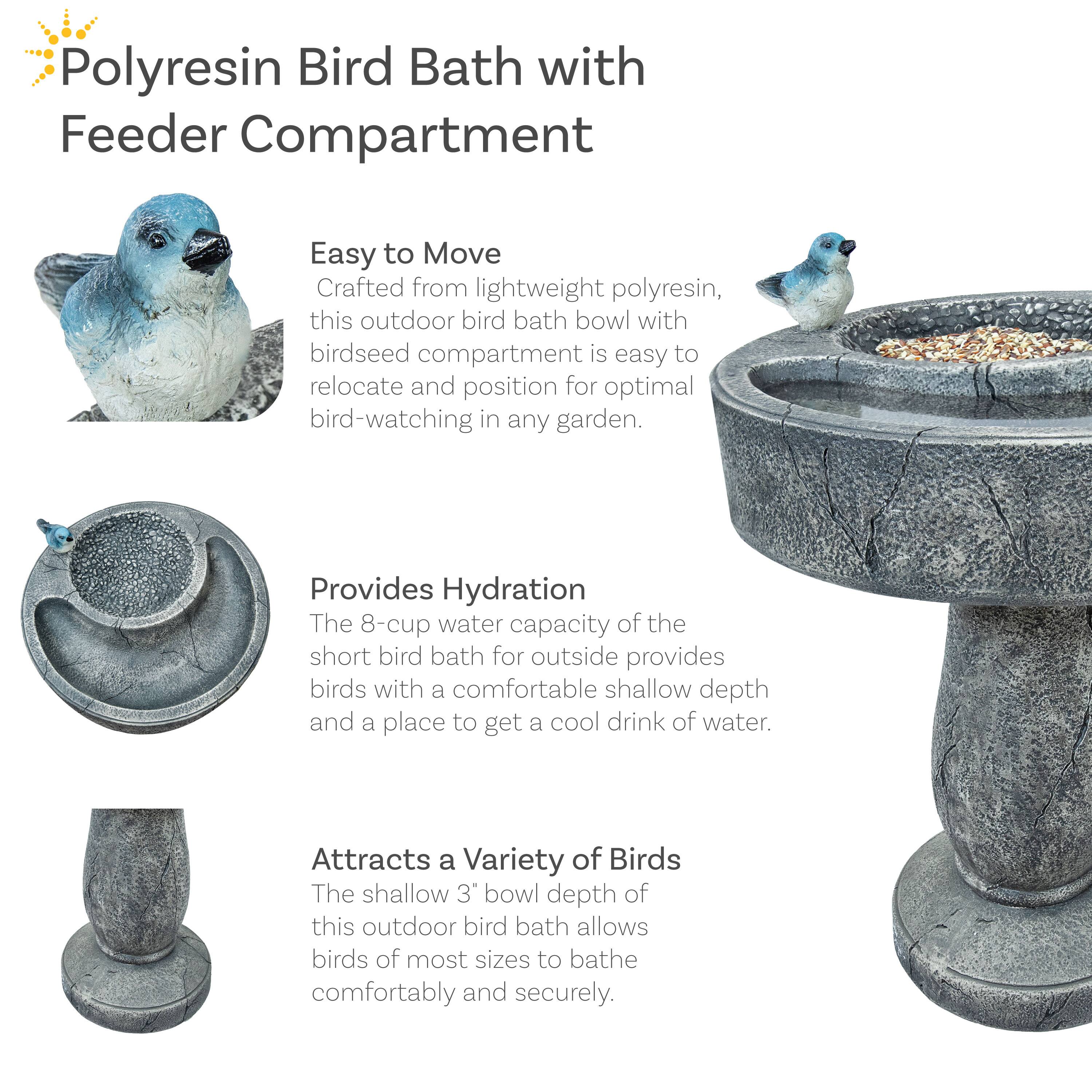 Polyresin Bird Bath with Feeder Compartment

Easy to Move
Crafted from lightweight polyresin, this outdoor bird bath bowl with birdseed compartment is easy to relocate and position for optimal bird-watching in any garden.

Provides Hydration
The 8-cup water capacity of the short bird bath for outside provides birds with a comfortable shallow depth and a place to get a cool drink of water.

Attracts a Variety of Birds
The shallow 3" bowl depth of this outdoor bird bath allows birds of most sizes to bathe comfortably and securely.