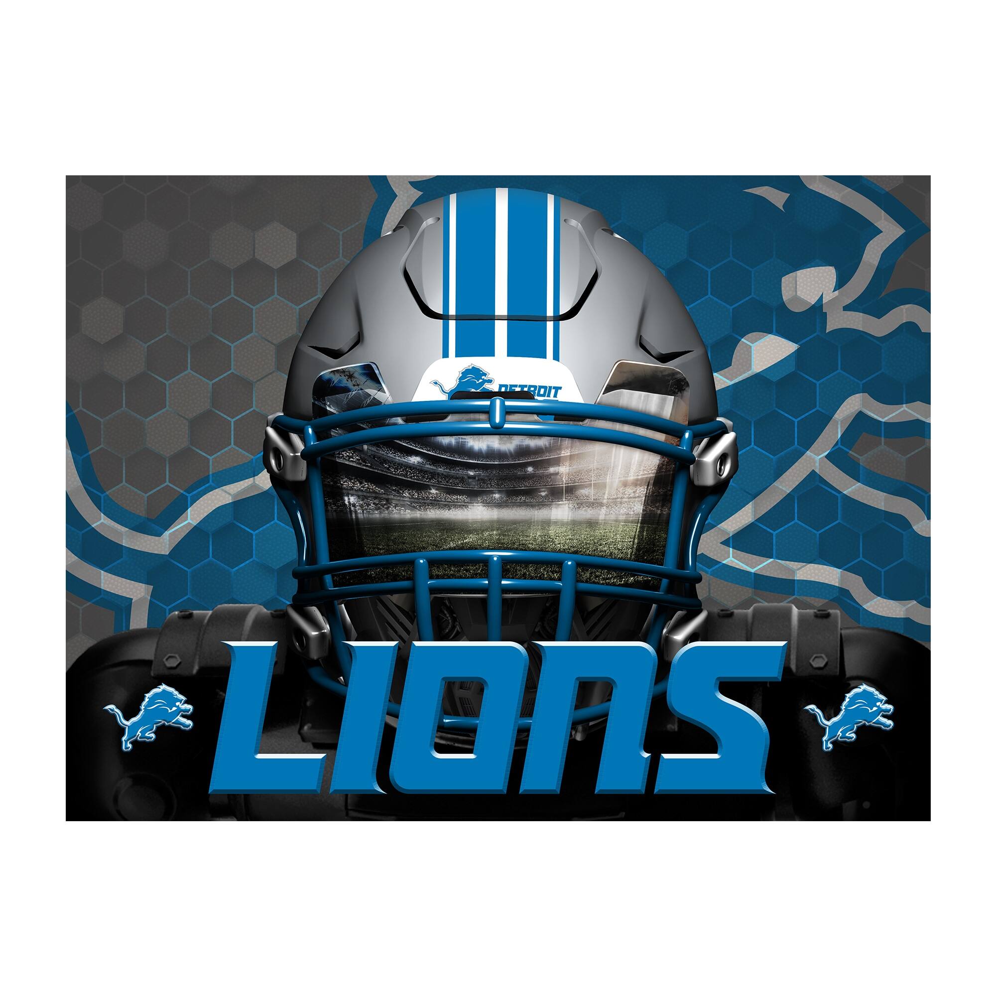 DETROIT LIONS