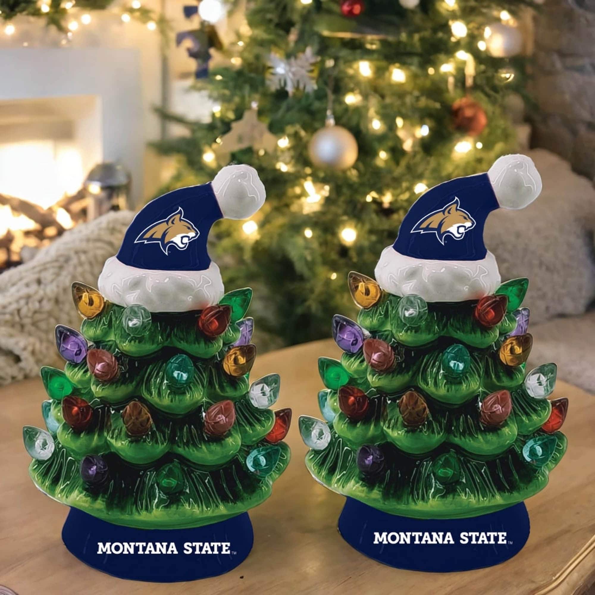 MONTANA STATE  
MONTANA STATE