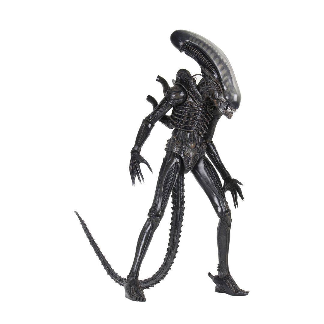 Back. NECA - NECA - Alien Ultimate 40th Anniversary Big Chap 1:4 Scale Action Figure.