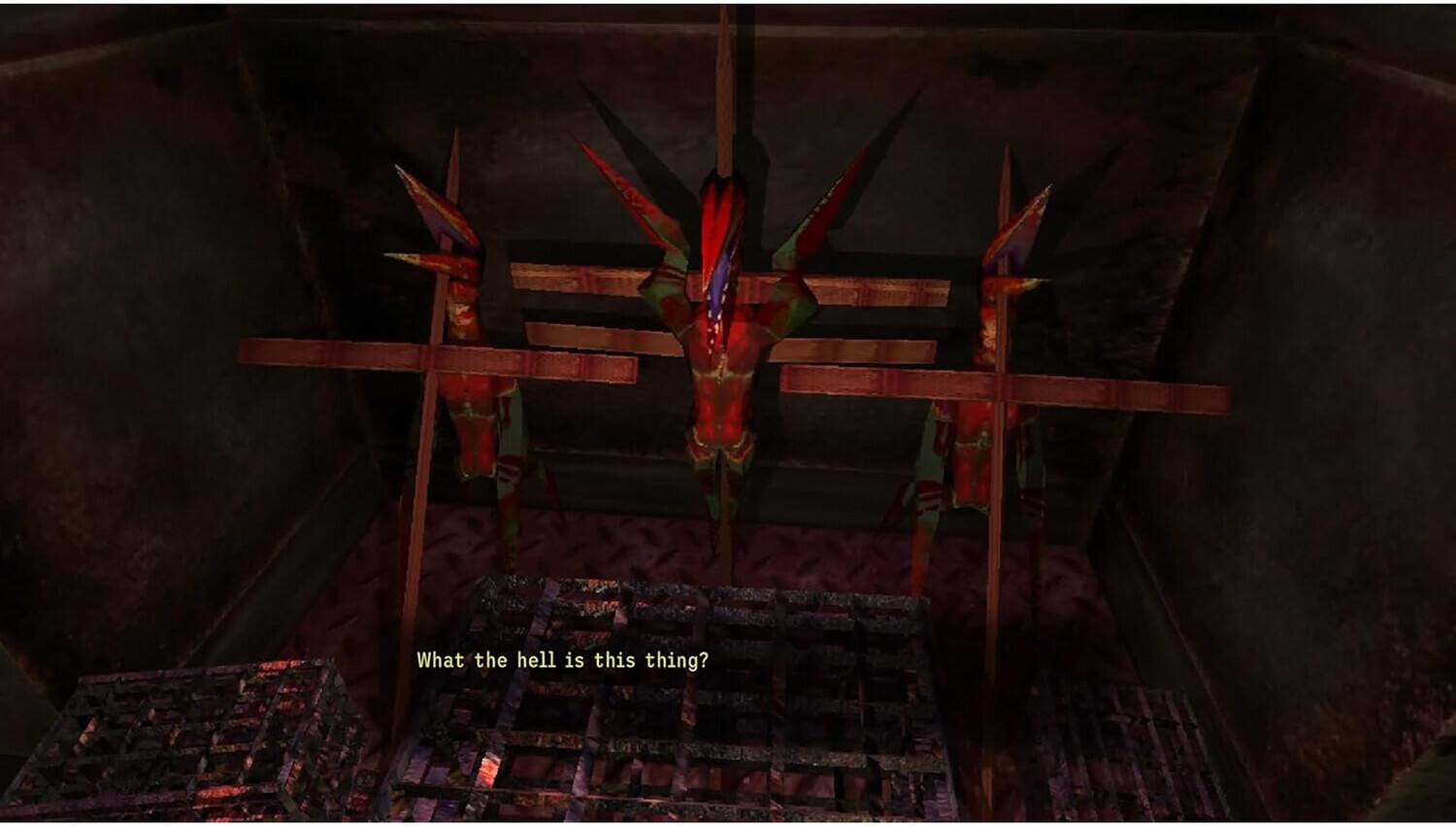 What the hell is this thing?