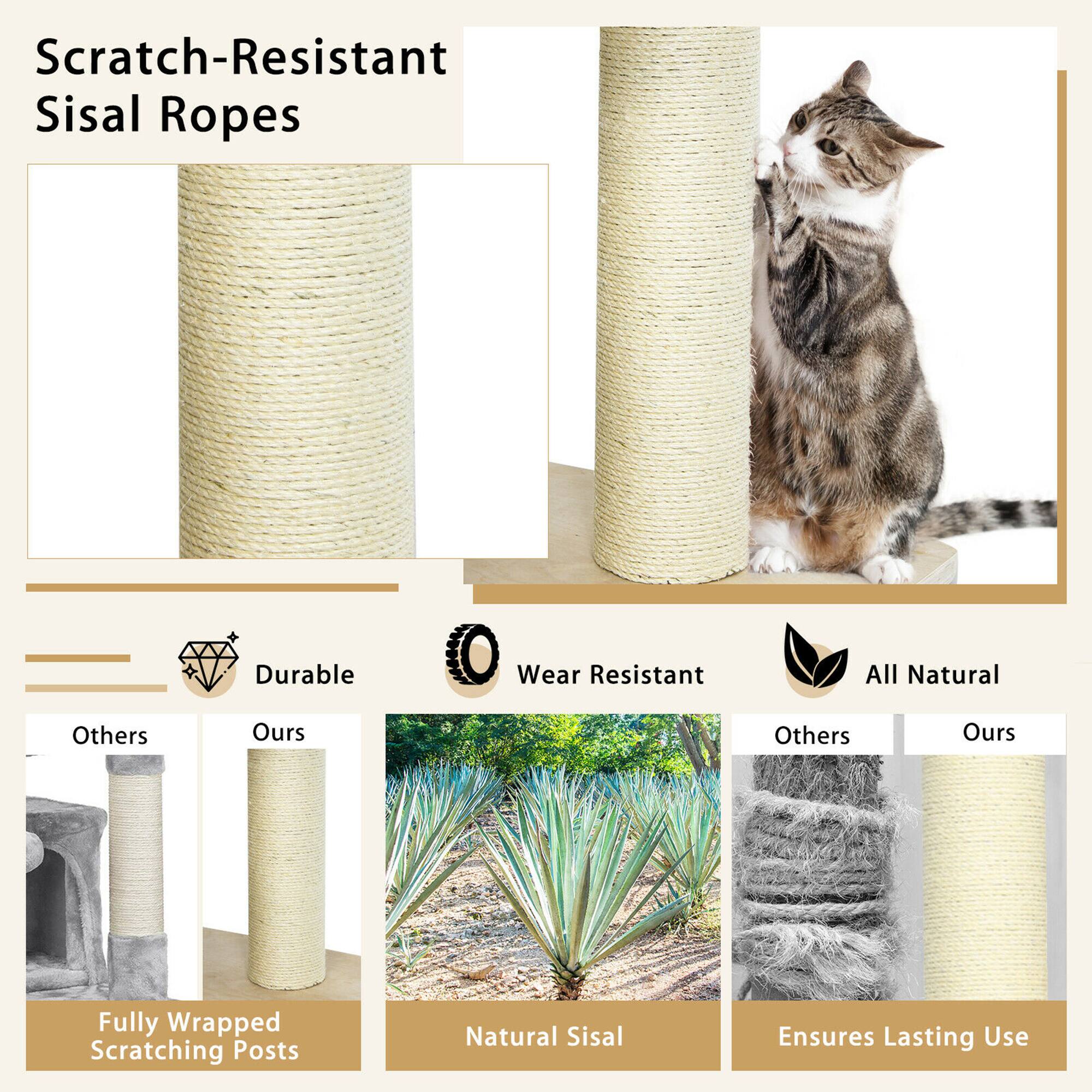 Scratch-Resistant Sisal Ropes

Durable
Others
Ours

Wear Resistant
Fully Wrapped Scratching Posts
Others
Ours

All Natural
Natural Sisal
Others
Ours

Ensures Lasting Use