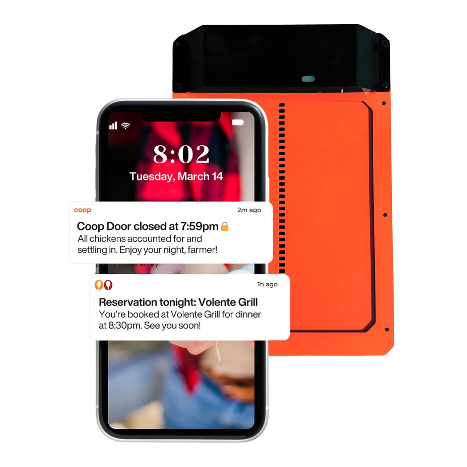 8:02 Tuesday, March 14

coop
Coop Door closed at 7:59pm
All chickens accounted for and settling in. Enjoy your night, farmer!

Reservation tonight: Volente Grill
You're booked at Volente Grill for dinner at 8:30pm. See you soon!