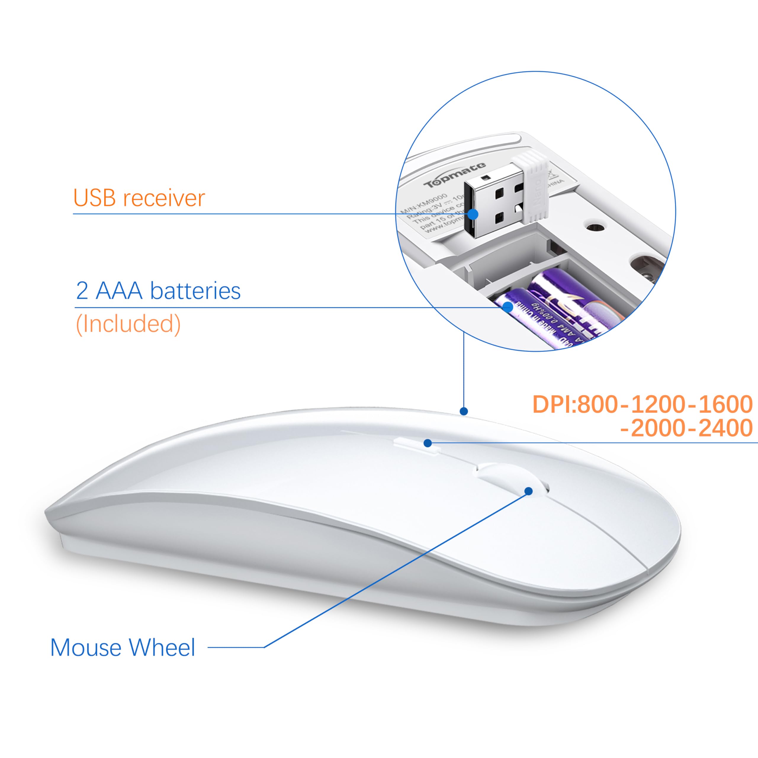 USB receiver  
2 AAA batteries (Included)  
DPI: 800-1200-1600-2000-2400  
Mouse Wheel
