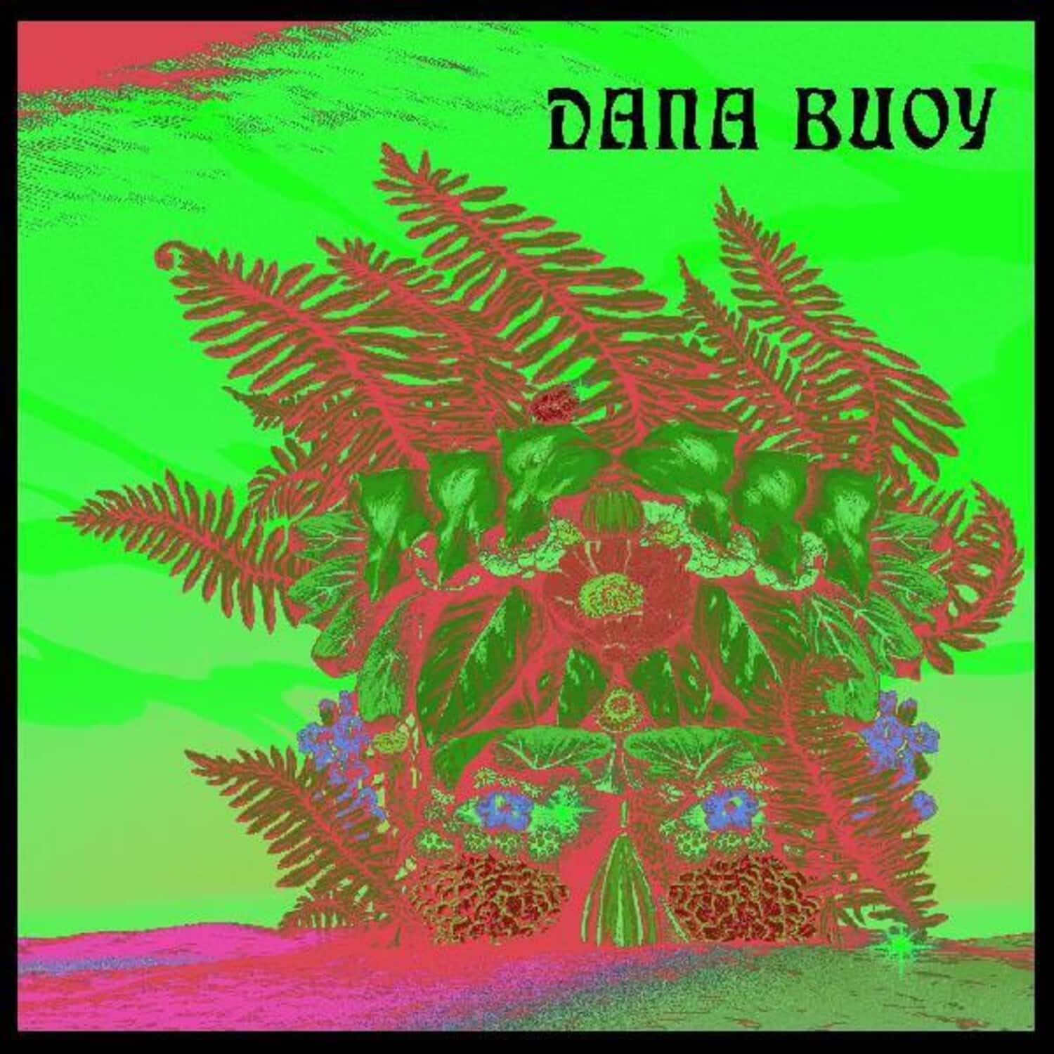 Dana Buoy - Experiments In Plant Based Music 1   - VINYL LP price history on PriceWatchPro