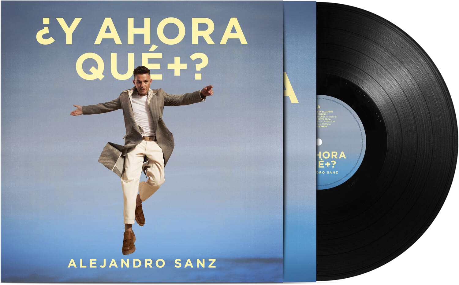 Alejandro Sanz - Y Ahora Que + ?   - VINYL LP price history on PriceWatchPro