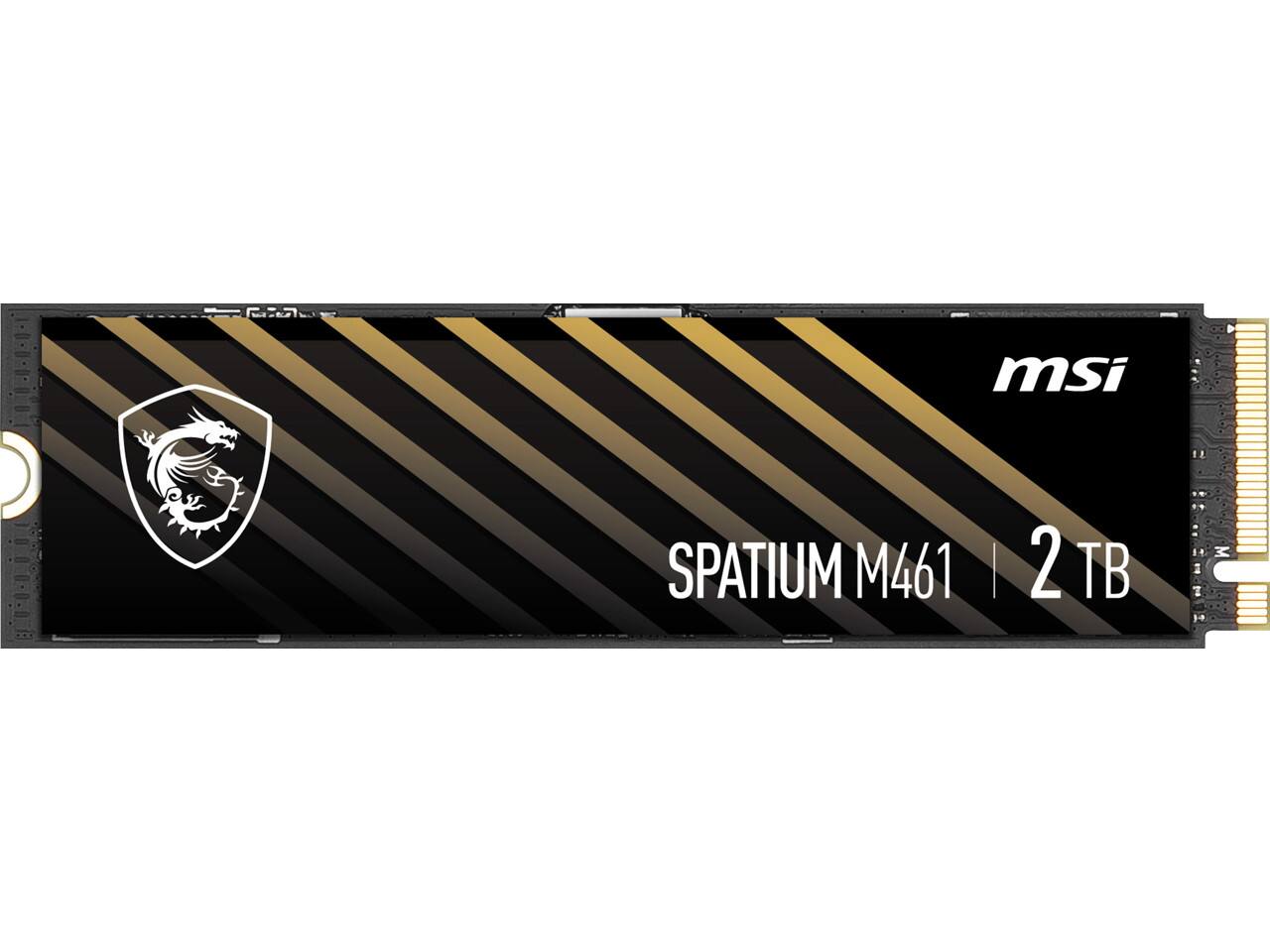 MSI SPATIUM M461 | 2 TB