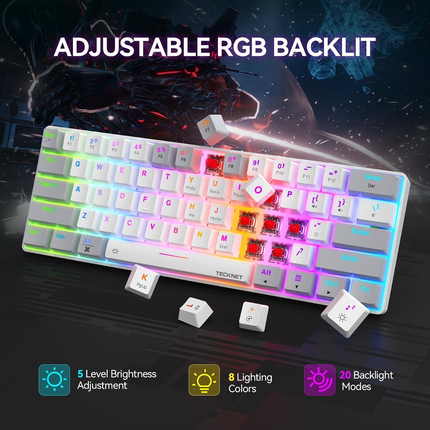 ADJUSTABLE RGB BACKLIT

F7 Ess 1! F1 2@ 3 F2 4$ F3 F4 5% 6A F5 Tob F6 8* g( Q W F8  E F9 R F10 T Y Copulk U A PrtSo | O S ScrLk P D Pause F G Shift H J Z Ins X Home  V   Win  All M  End  TECKNET Alt K PgUp
+ F11 Back F12 Del h Enter Shift Ctrl FR

5 Level Brightness Adjustment
8 Lighting Colors
20 Backlight Modes