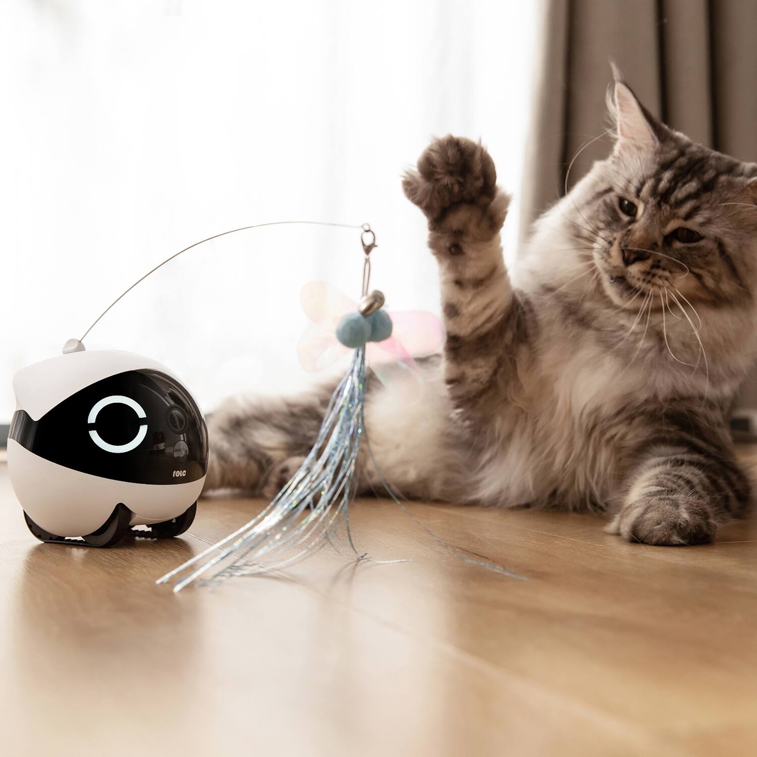 Left. Enabot - Eb2303311 Rola Mini Companion Robot With 2k Qhd Camera And Built-in Call Button With 2-way Voice - White.